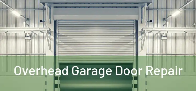  Overhead Garage Door Repair 